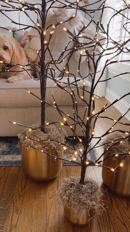 Love the viral twinkle trees from Amazon!!
Placing them in these gold planter pots from Target using Craftfom cake forms to stabilize and topping with preserved moss!

Holiday decor, prelit birch trees, Amazon twinkle trees, gold planter, artificial moss, preserved moss. Holiday tree, holiday natural decor.
#amazon #holiday #target


#LTKHolidaySale #LTKhome #LTKSeasonal