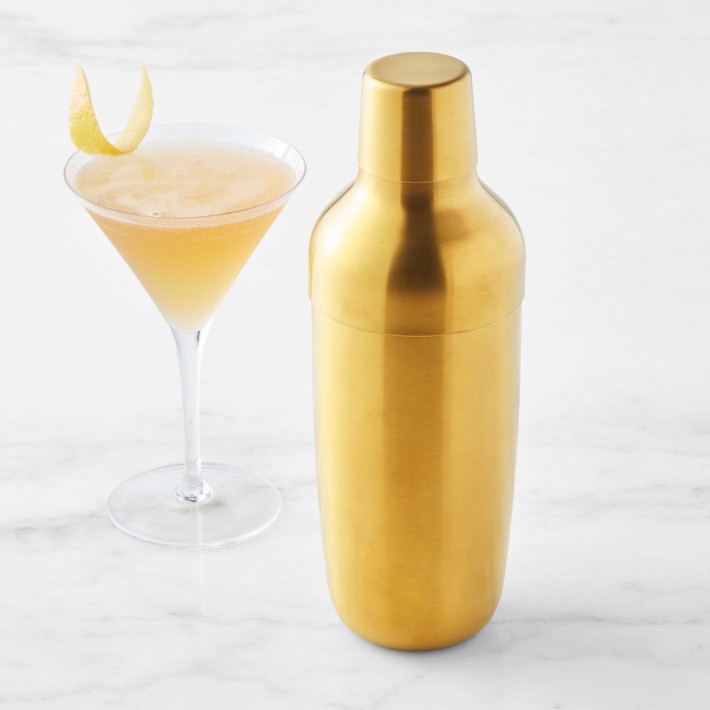 Williams Sonoma Encore Bar Double Wall Cocktail Shaker | Williams-Sonoma