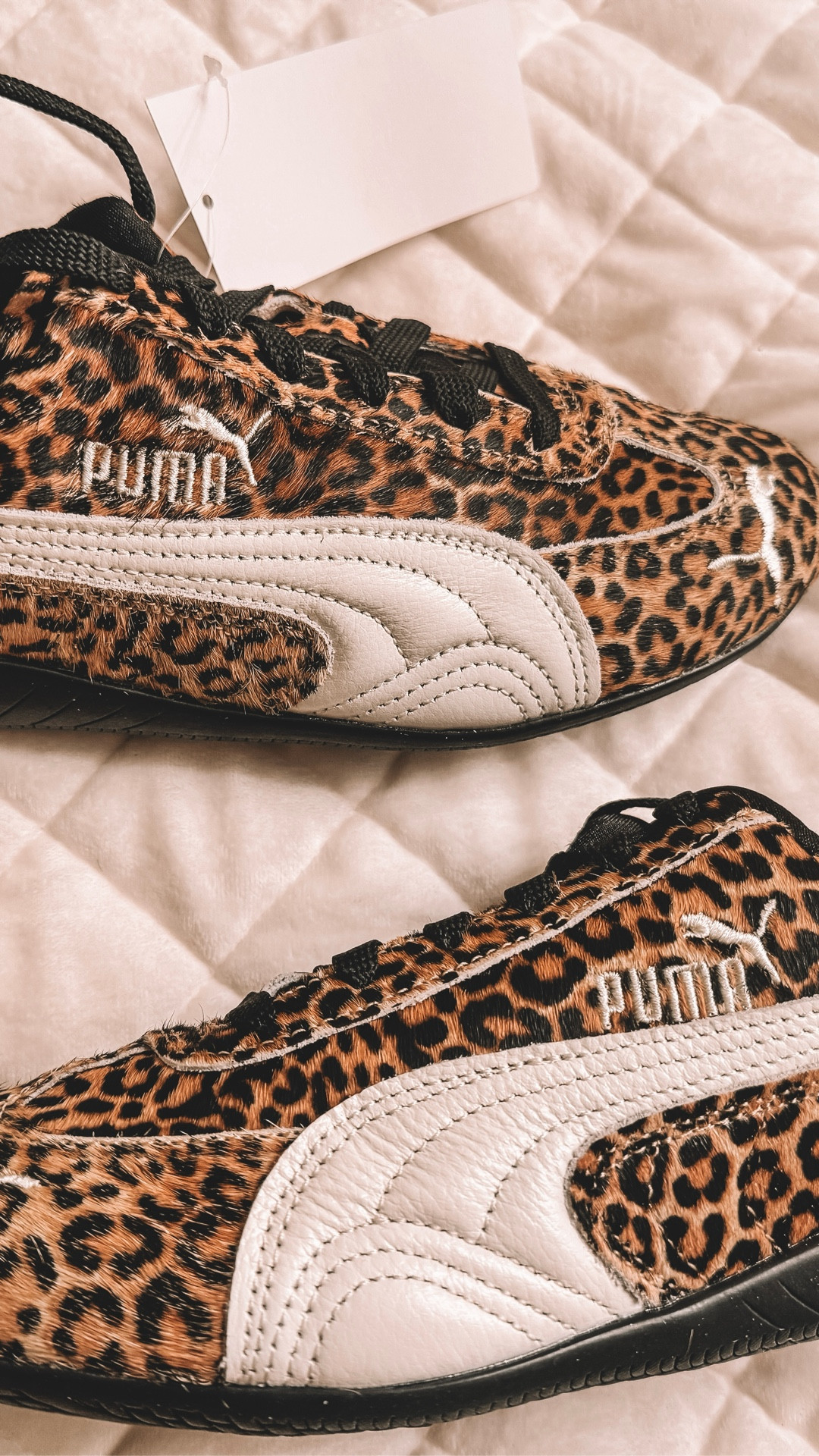 These leopard print sneakers are my new OBSESSION.
They are so comfortable, fit true to size and are in animal print. Really, what more to ask for?!

Sneakers, athletic, athletic wear, animal print, Anthropologie

#LTKootd #LTKdayinmylife #LTKHoliday