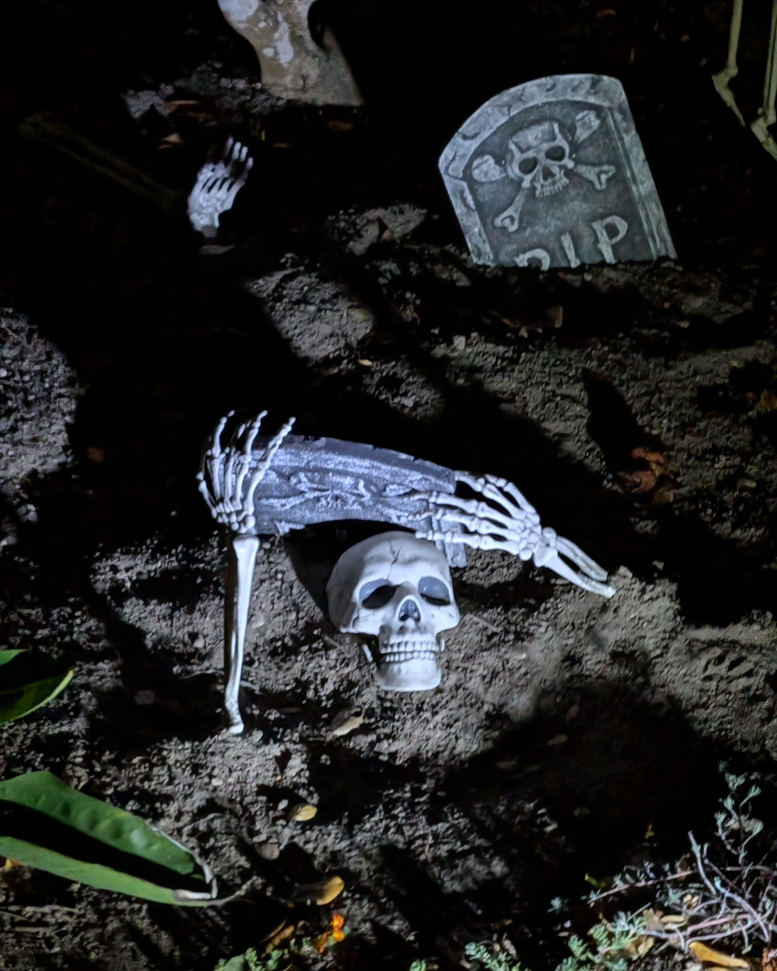 Create a spooky graveyard look with these easy to use skeleton and garden stake pieces

#LTKHalloween #LTKHoliday #LTKSeasonal