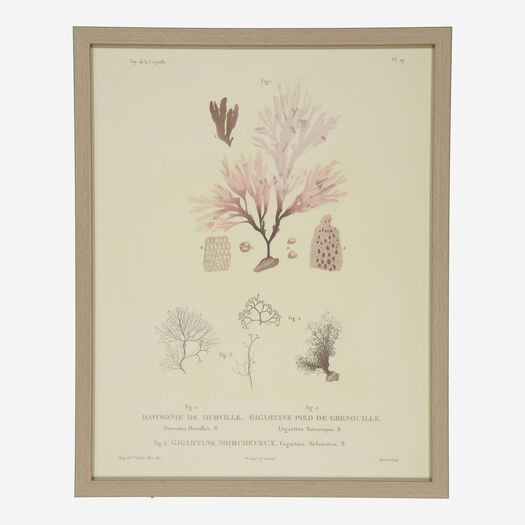 Gallery 15 | TK Maxx