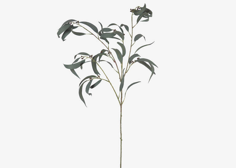 Shay Gumnut Leaf Branch | Urban Barn