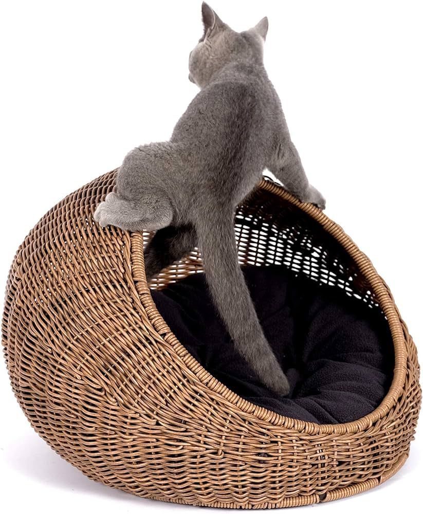 D+GARDEN Wicker Cat Bed Dome for Medium Indoor Cats - a Covered Cat Hideaway Hut of Faux Rattan H... | Amazon (US)