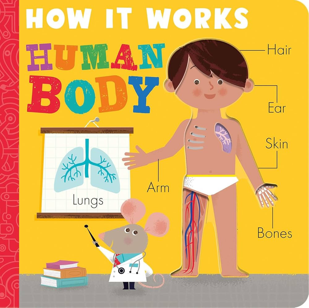 How it Works: Human Body | Amazon (US)