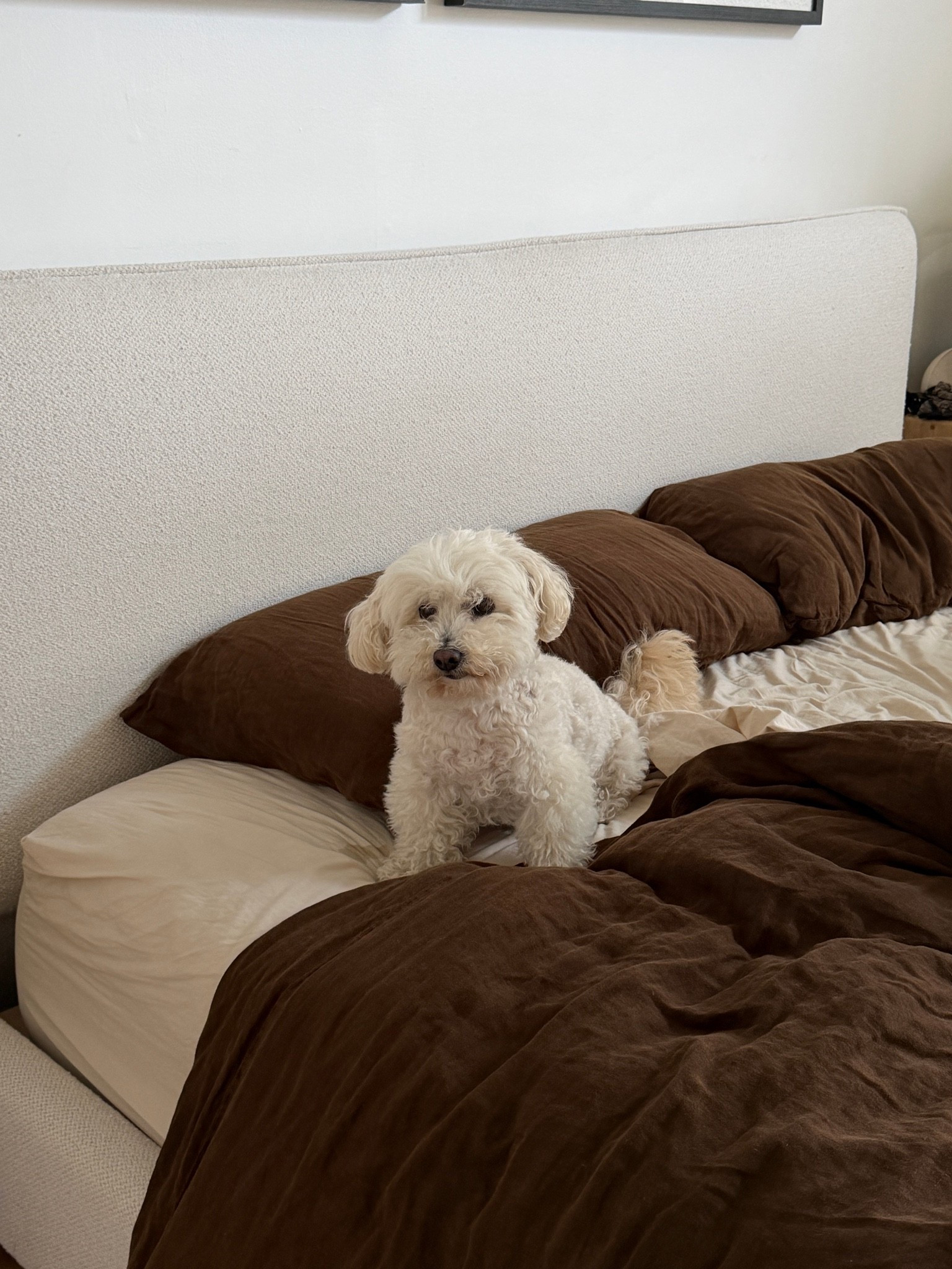 Comfy bedding