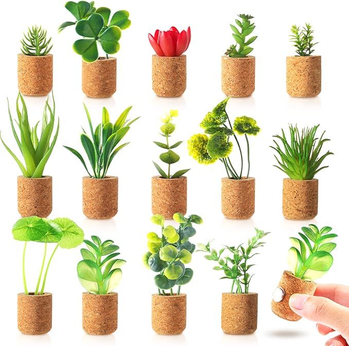 JUSTDOLIFE Plant Fridge Magnets-Mini Succulent Artificial Plants Refrigerator Magnets Potted Magn... | Amazon (US)