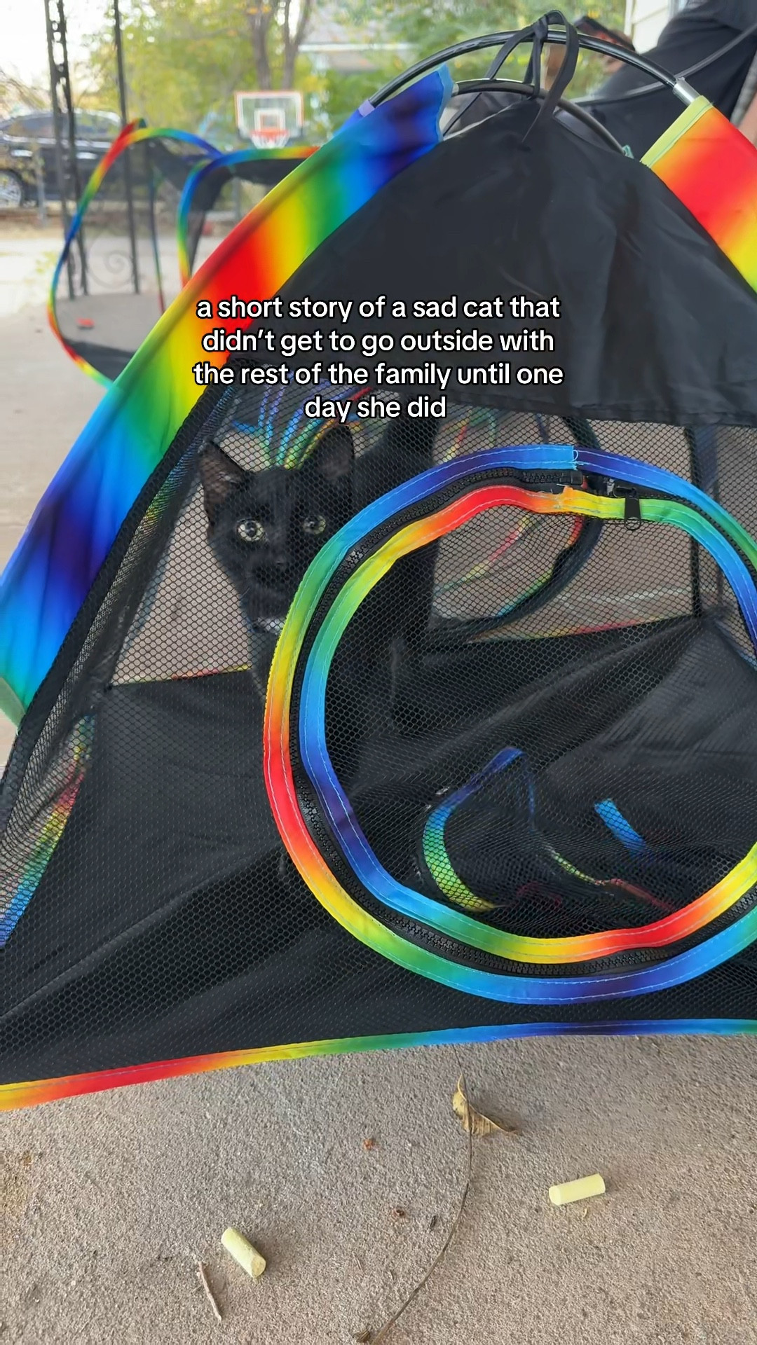 I couldn’t find the exact one we got. ours just has the tunnel, tent and enclosure so I linked the one that is most similiar! 🖤

#LTKFamily #LTKTravel #LTKPets