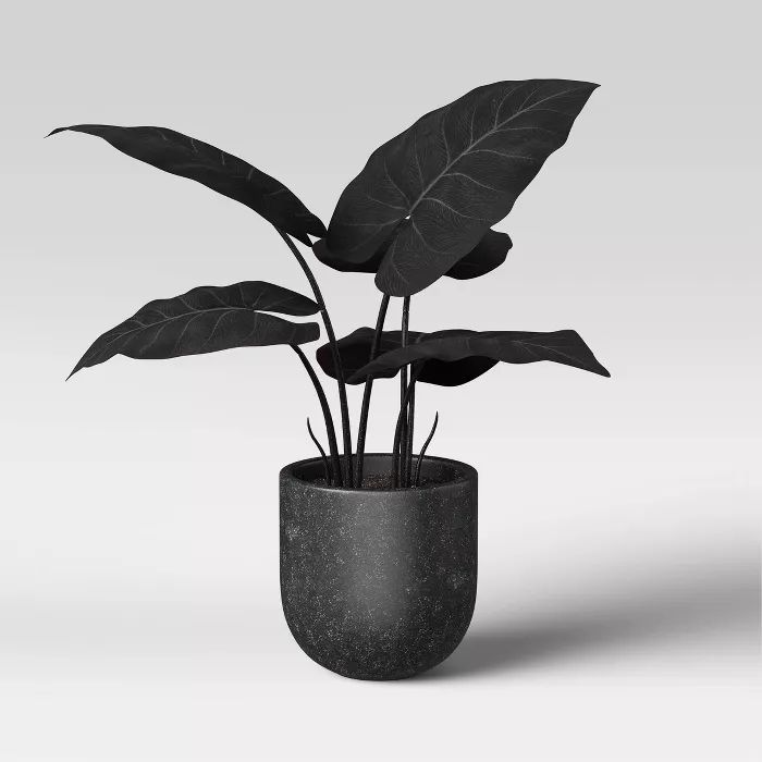 15" x 18" Artificial Black Velvet Alocacia Plant Arrangement in Ceramic Pot - Threshold™ | Target