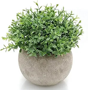 Velener Mini Sage Green Potted Boxwood Topiary Artificial Plants for Home Decor Indoor, Farmhouse... | Amazon (US)