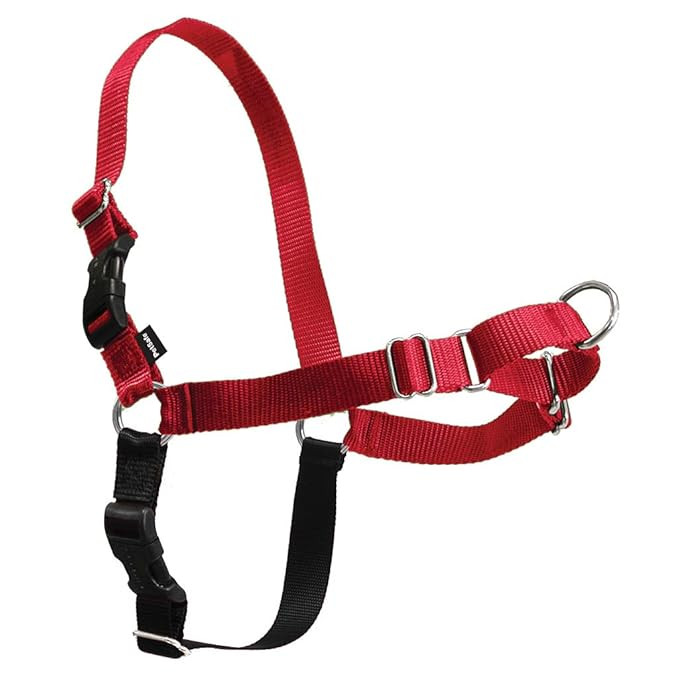 PetSafe Easy Walk Dog Harness, Red /Black, Medium | Amazon (US)