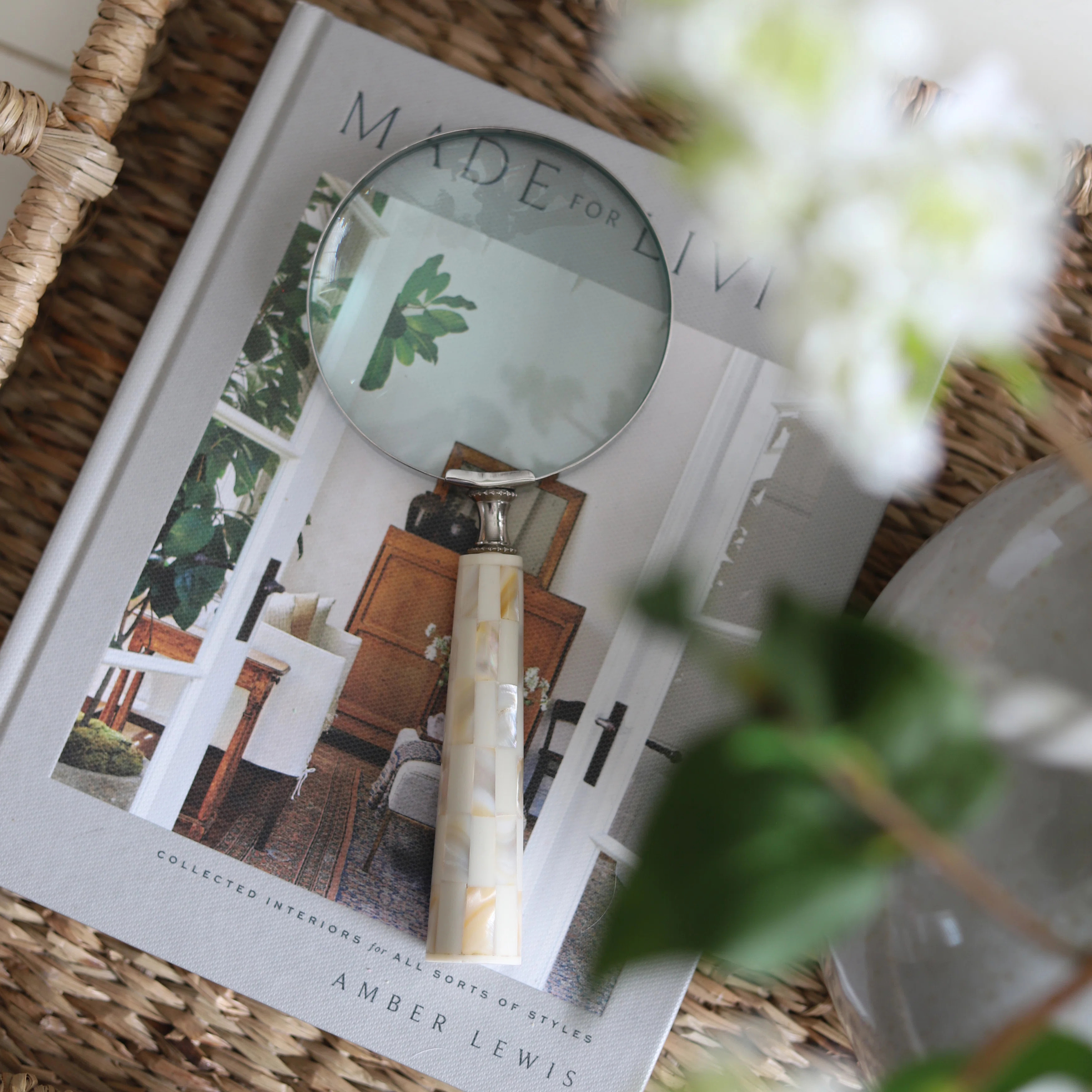 Ivy Bronx 4" Mop Handle Magnifying Glass, Ivory | Wayfair | Wayfair North America