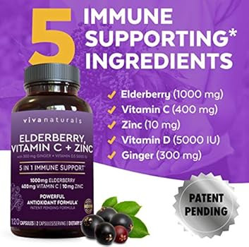 Viva Naturals Elderberry, Vitamin C, Zinc, Vitamin D 5000 IU & Ginger - Antioxidant & Immune Supp... | Amazon (US)
