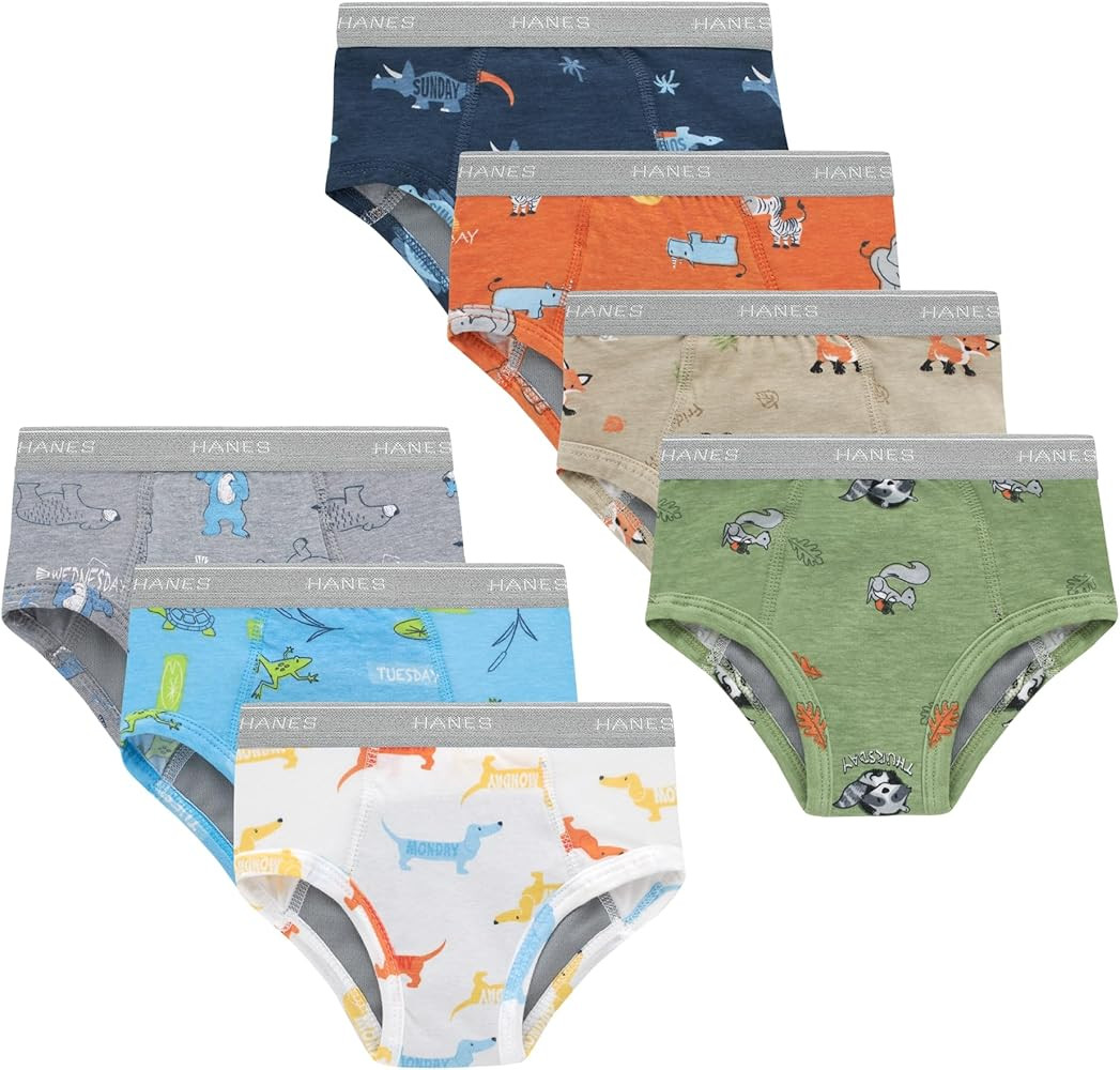 Hanes boys Potty Training Underwear, Light Leaks Toddler Cotton Briefs and Boxer Briefs, Multi-pa... | Amazon (US)