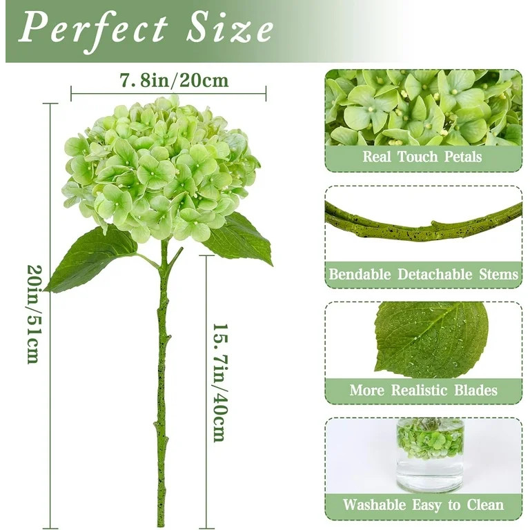 Visit the Waipfaru Store | Walmart (US)