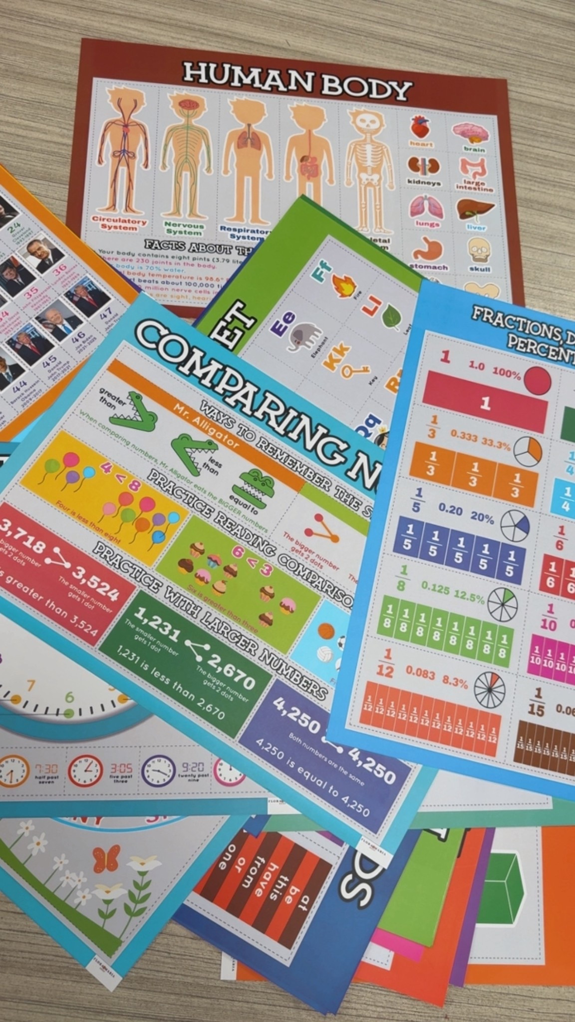 Educational Posters! One side is horizontal, the other is vertical 

#LTKKids