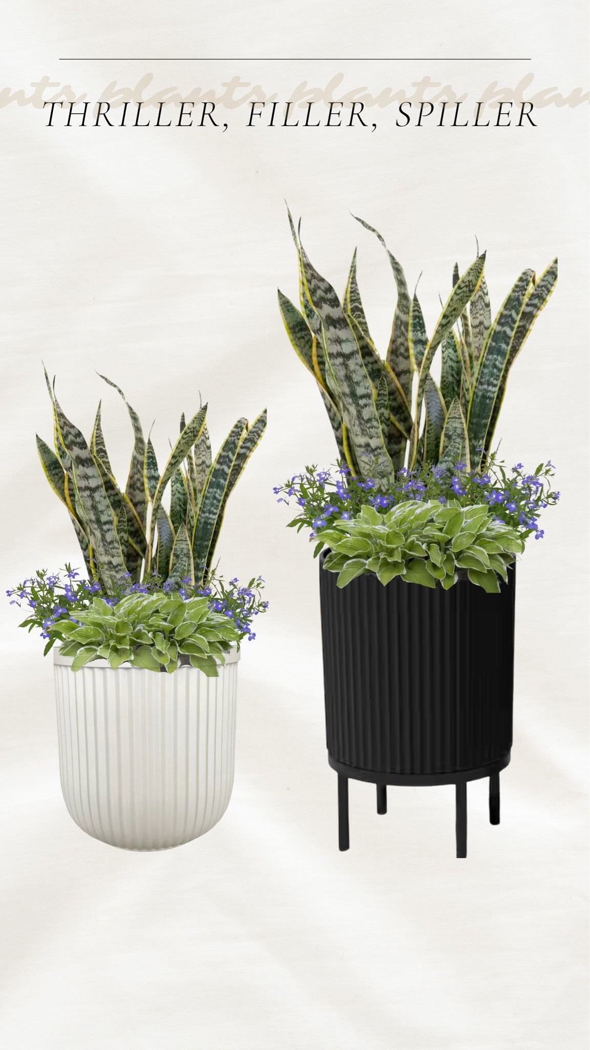 Sharing my favorite planters and some ideas for thriller, filler, and spiller plants! 

Spring plants, outdoor home ideas, snake plant, gardening finds, Home Depot, 

#LTKhome 

#LTKSeasonal