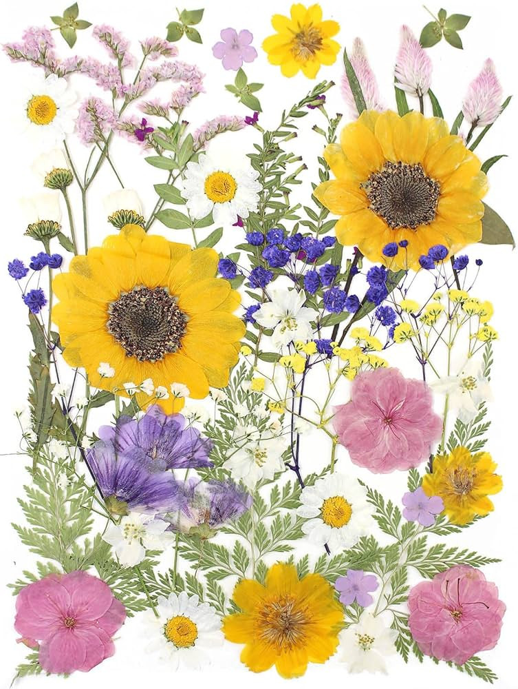 16 Types Boho Dried Pressed Flowers for Craft, Leaf Plant Herbarium for Resin Molds Jewelry Makin... | Amazon (US)