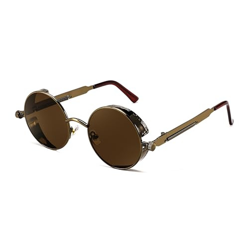 FEISEDY Retro Gothic Steampunk Sunglasses Round Metal Frame Punk Circle Inspired Shade Men B1857 | Amazon (US)