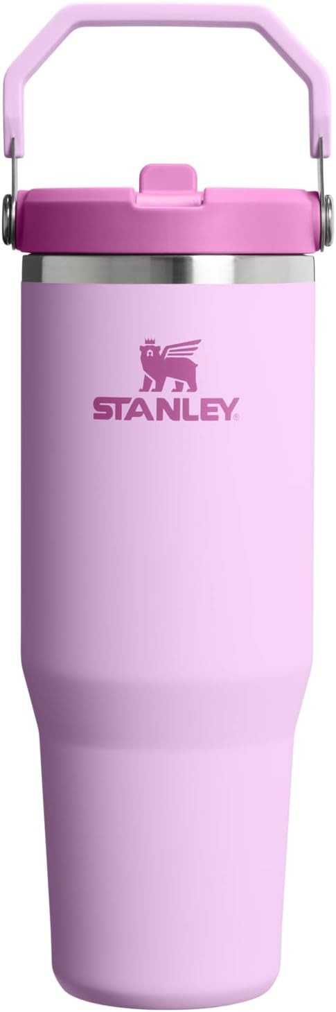 STANLEY IceFlow 2.0 Flip Straw Tumbler with Handle 30 oz | Twist On Lid and Flip Up Straw | Leakp... | Amazon (US)