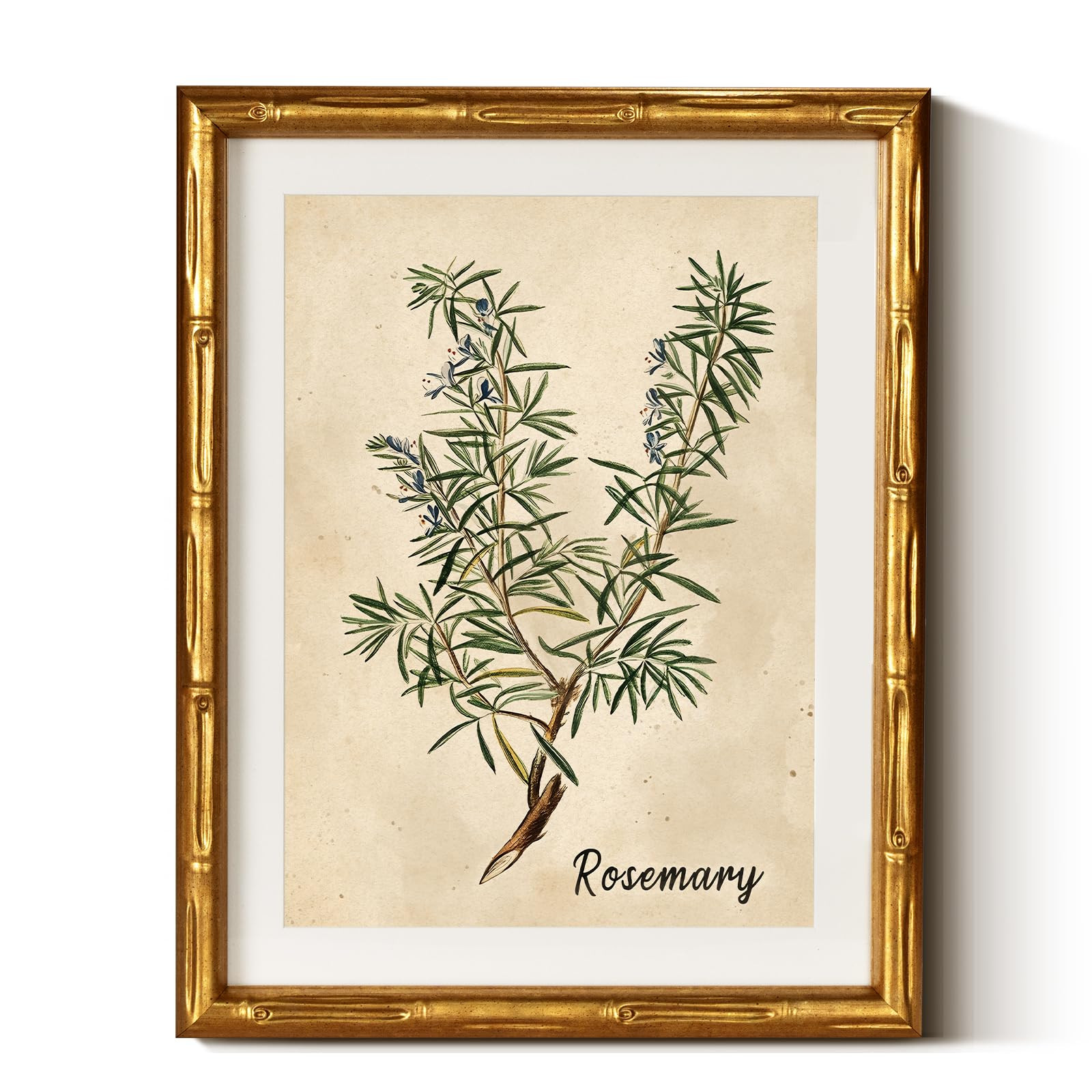 InSimSea Gold Bamboo Framed Canvas Wall Art, Retro Herbs Rosemary Botanical Paintings, Antique Vi... | Amazon (US)