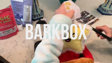 Is a Barkbox subscription worth it? YES! Makes a great gift for new puppy owners, too!

#LTKhome