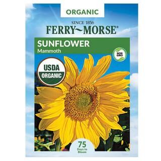 Ferry-Morse Sunflower Mammoth Organic Flower Seed-X1540 - The Home Depot | The Home Depot