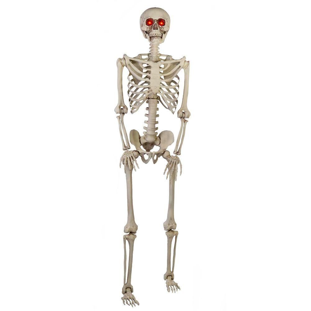 5 ft. Hanging Plastic Posable Skeleton with LED Eyes | The Home Depot