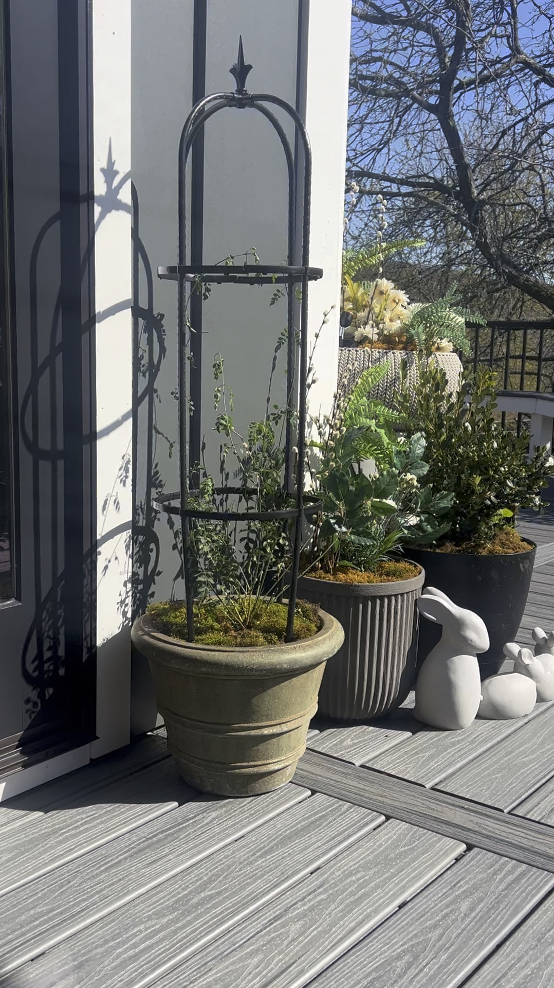 Adding this black tower to my Jazmin plant for support was the best idea! It looks so good too. Like a little decor detail. 
Make your climbing plants stronger  

#LTKStyleTip #LTKSeasonal #LTKHome