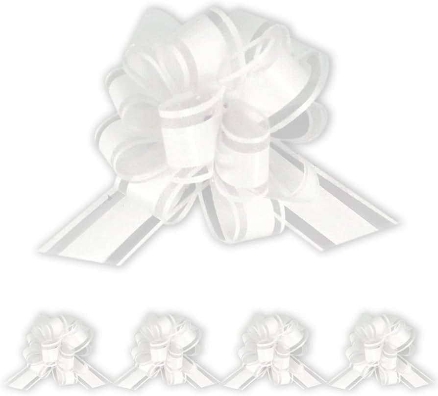 Insta Bows Five (5) Organza Ribbon Bows White Large Gift Bows for Gift Wrapping Christmas and Bir... | Amazon (US)
