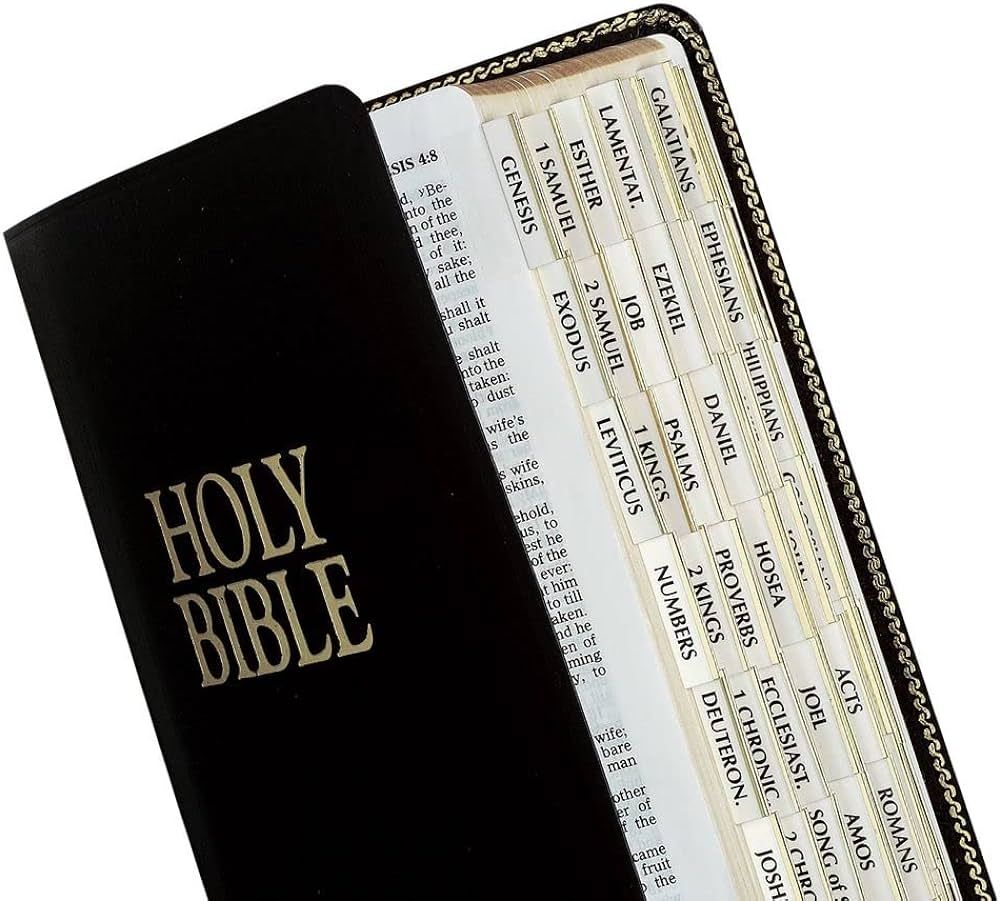 Tabbies Catholic Gold-Edged Bible Indexing Tabs, Old & New Testament Plus Catholic Books, 90 Tabs... | Amazon (US)