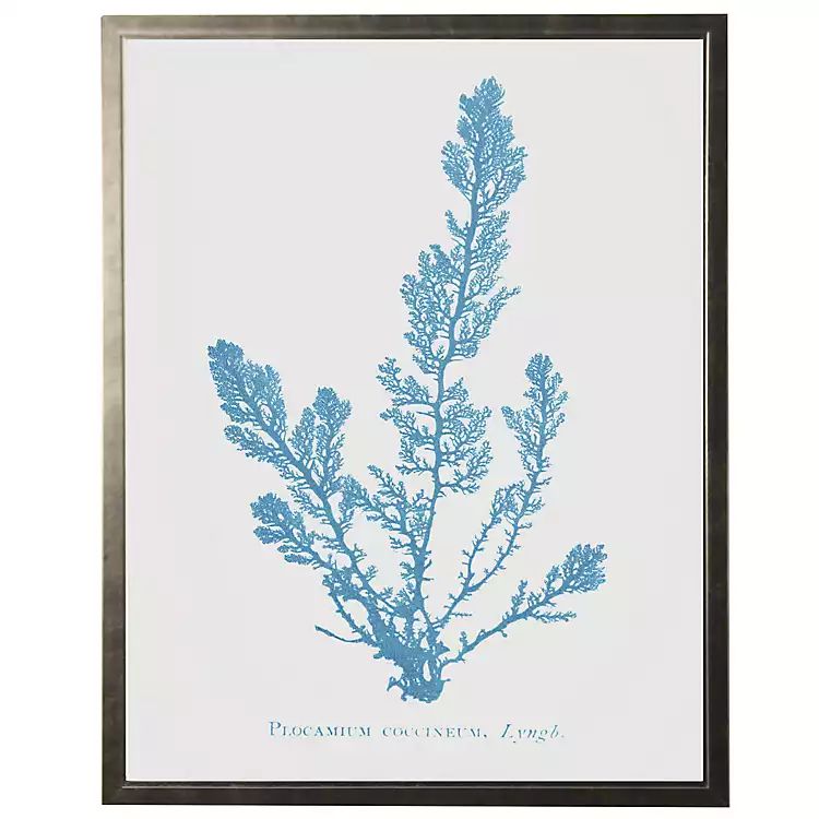 White Distressed Blue Coral IV Framed Art Print | Kirkland's Home