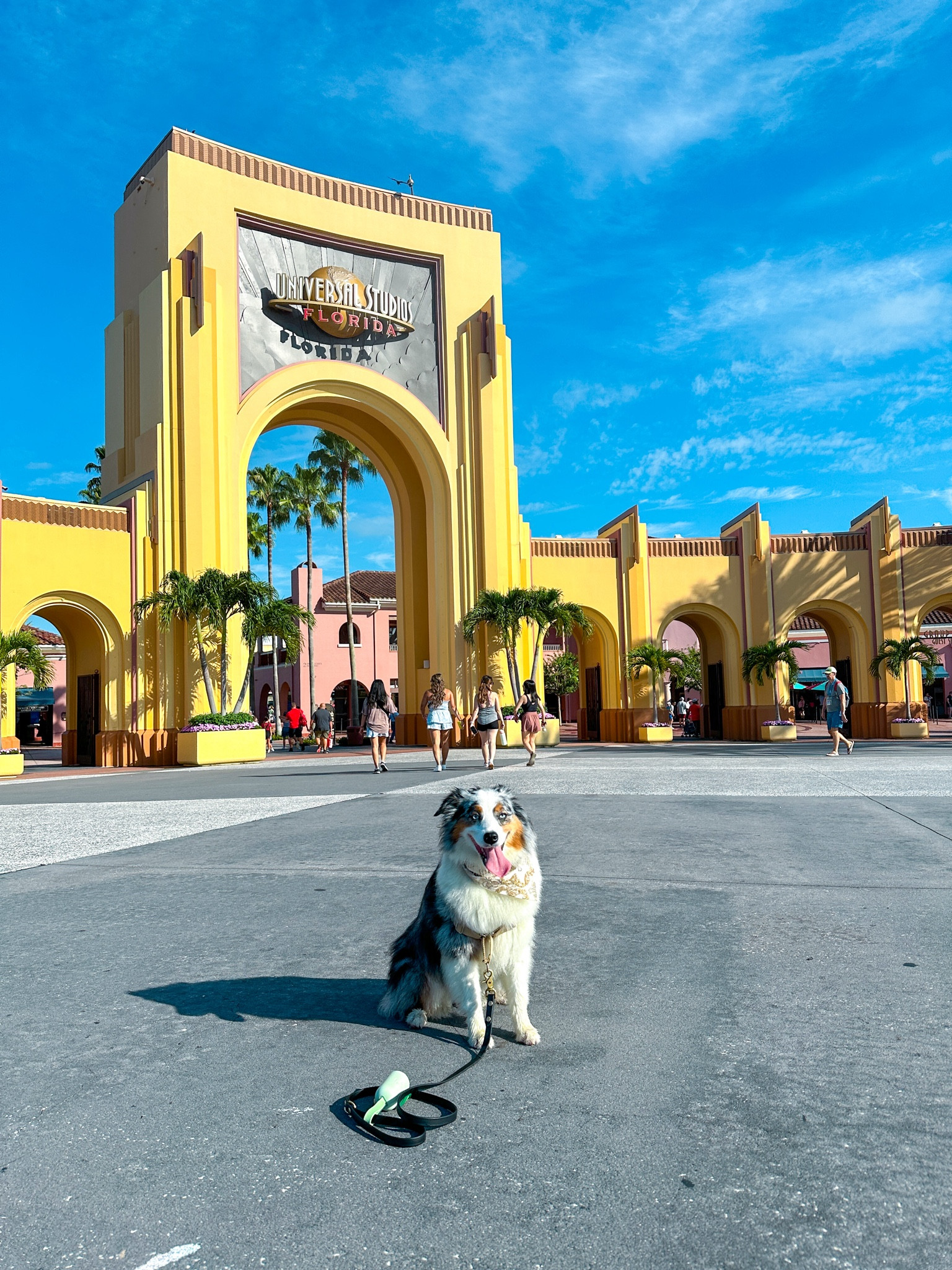 Universal studios orlando florida pet friendly vacation essentials 
theme park guide & packing 

#LTKTravel #LTKSeasonal #LTKFamily
