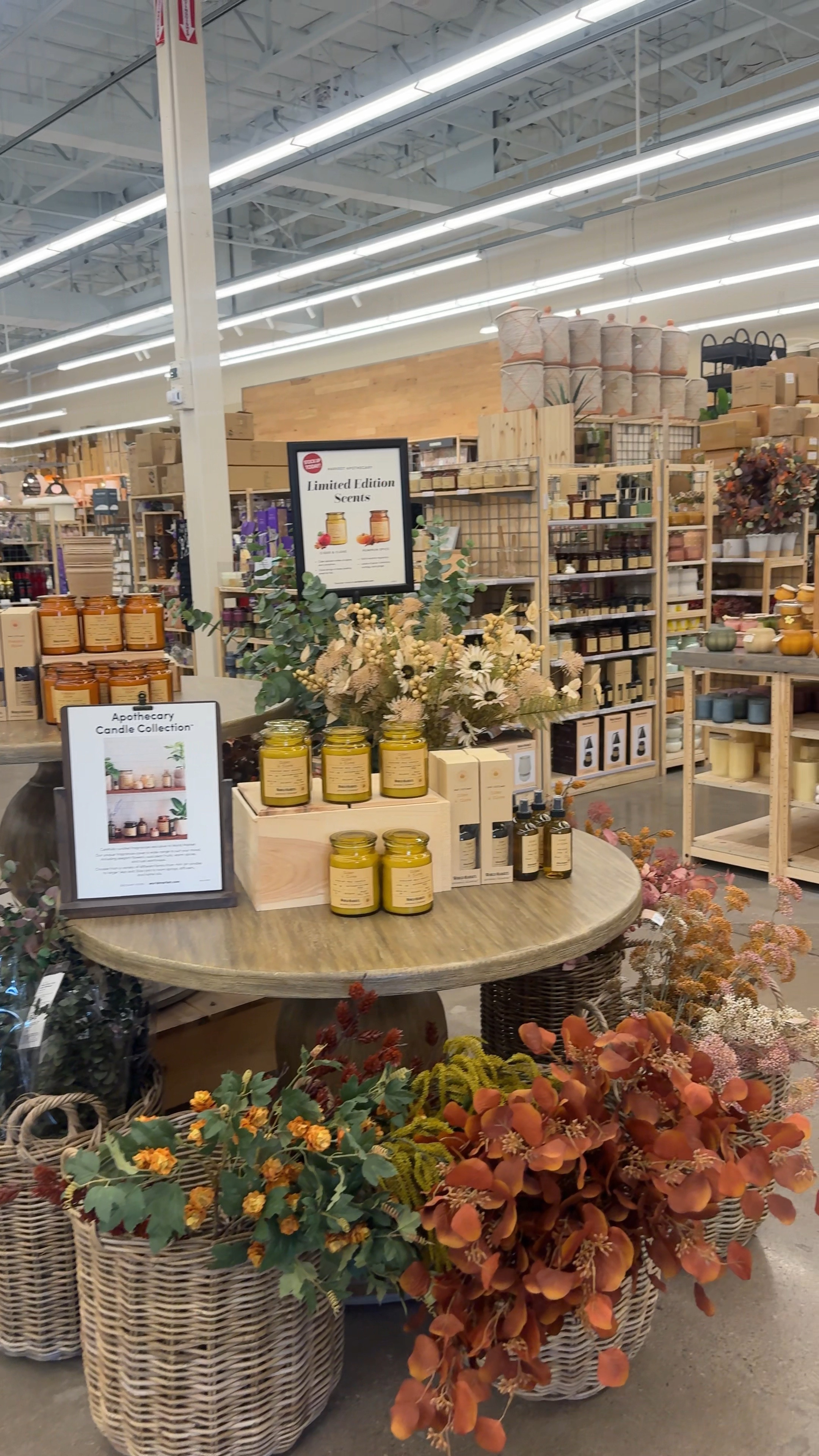 Fall Finds at World Market 🍂

#LTKHome #LTKSeasonal