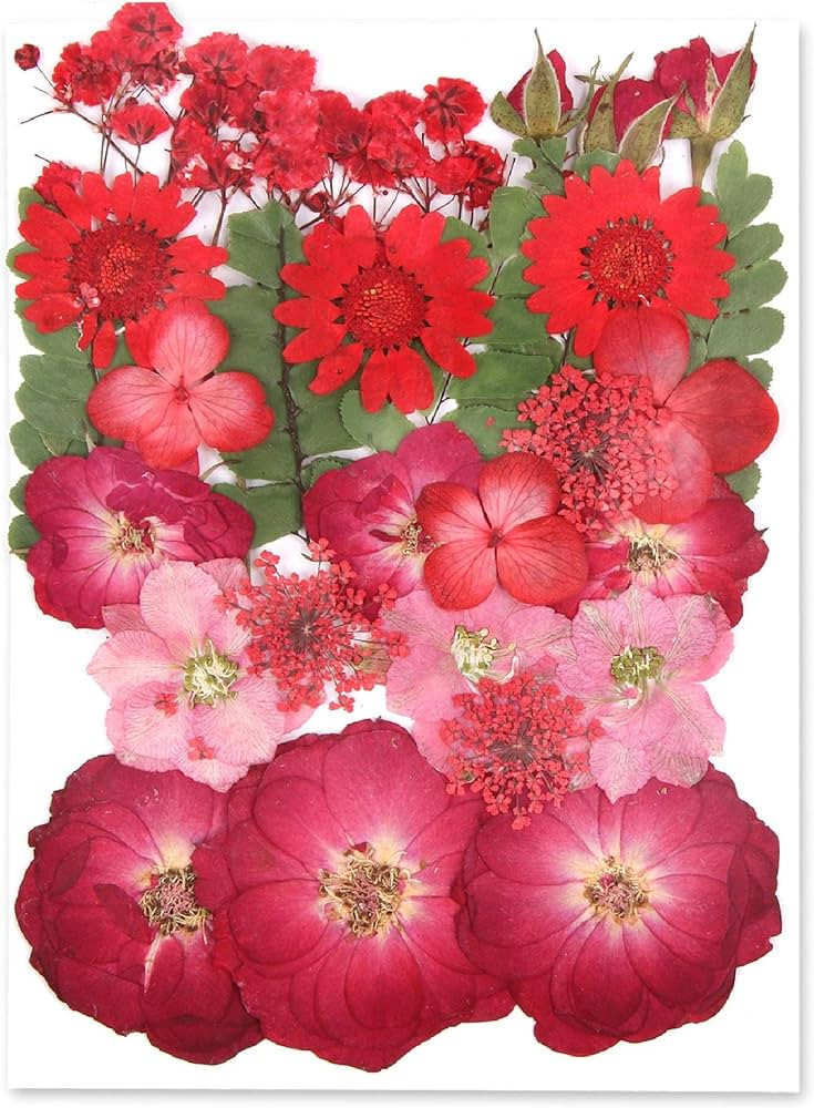 Augshy Red Dried Pressed Flowers, Pressed Red Roses Dried Flowers for Resin Molds Jewelry Nail Ar... | Amazon (US)