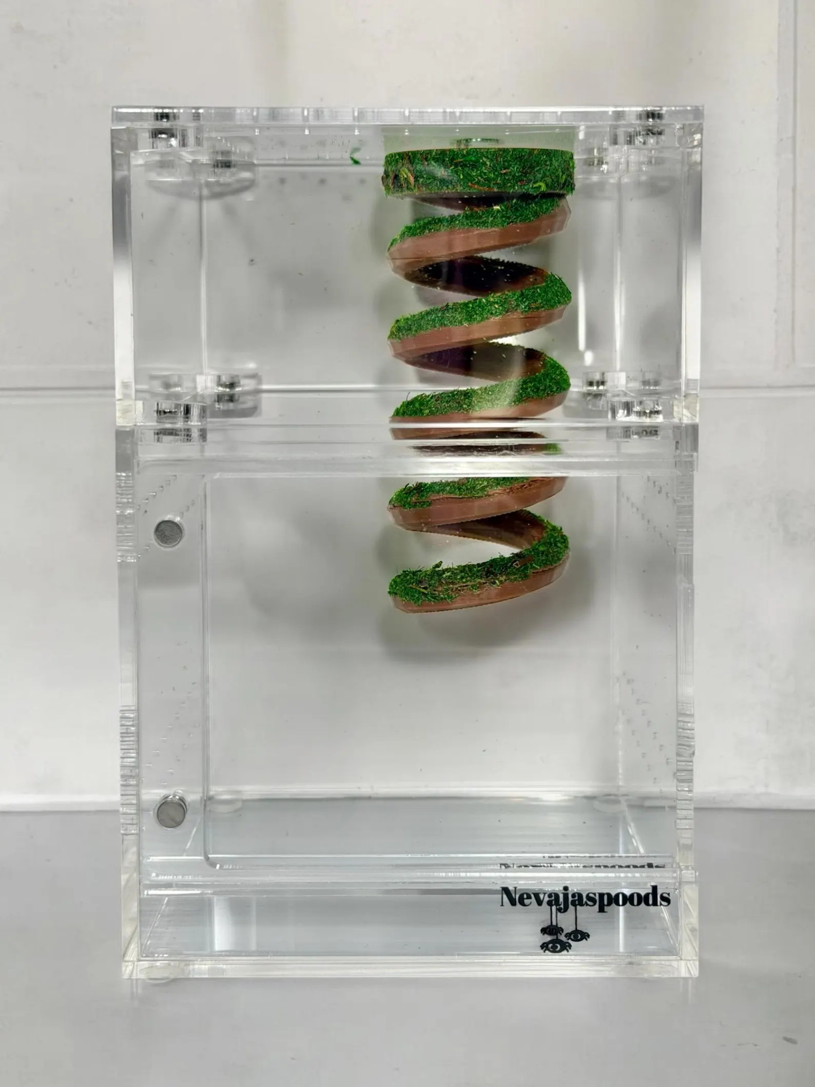 Moss Spiral Jumping Spider Playground | Spiral Hanging Gym | Enrichment Toy | Etsy (Global)