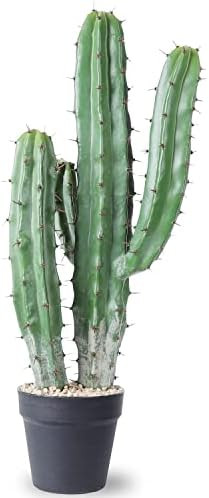 Artificial Cactus Fake Big Cactus 36 Inch Faux Cacti Plants for Home Garden Office Store Decorati... | Amazon (US)