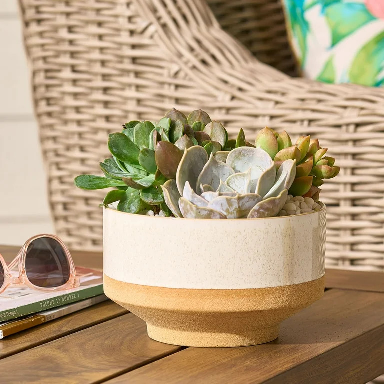 Better Homes & Gardens Charlotte Planter 7 IN Dia X 4.25 IN H - Walmart.com | Walmart (US)