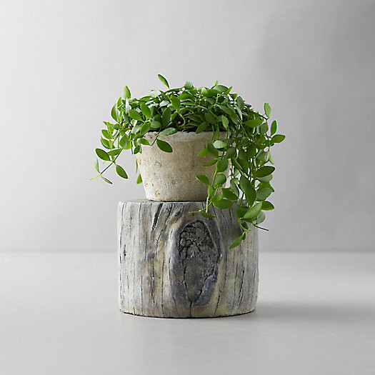 Faux Bois Decorative Riser | Terrain