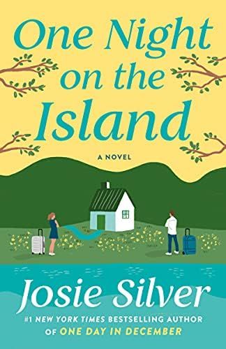 One Night on the Island: A Novel | Amazon (US)