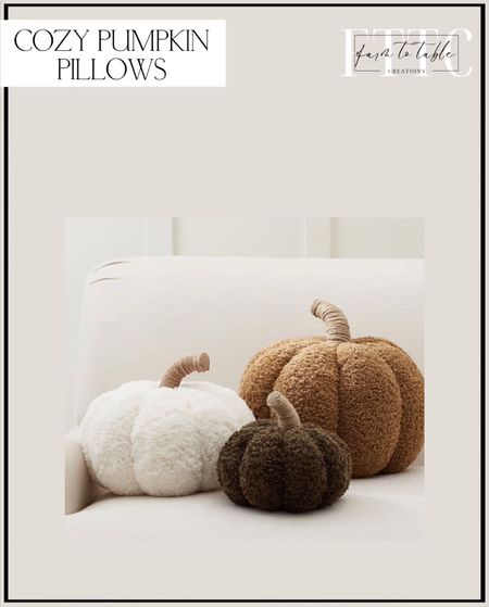 Cozy Pumpkin Pillows. Follow @farmtotablecreations on Instagram for more inspiration. Fall Decor. Pumpkin Decor. Fall Inspiration. Seasonal Decor  

#LTKunder50 #LTKhome #LTKSeasonal