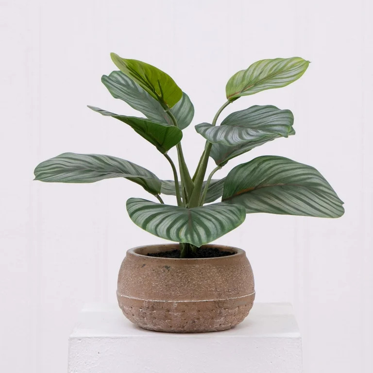 Better Homes & Gardens 9.5"H Artificial Indoor Calathea in Stone Planter | Walmart (US)