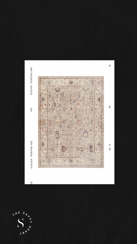 Transitional area rug by Becki Owens and Surya - beige, khaki, blue, cream