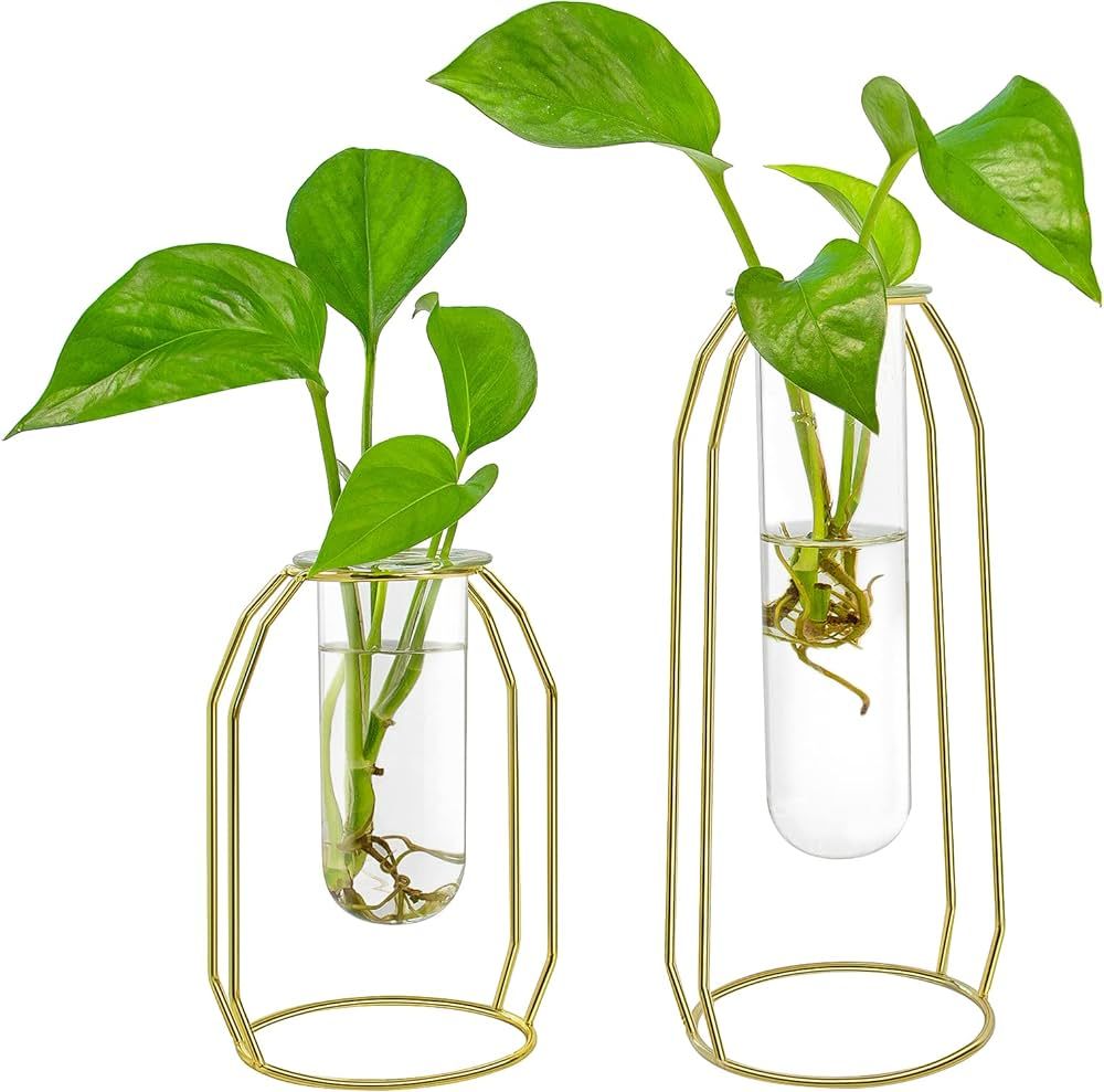 Ivolador Modern Tabletop Plant Terrariums with 2 Test Tube in Metal Frame Perfect for Propagating... | Amazon (US)
