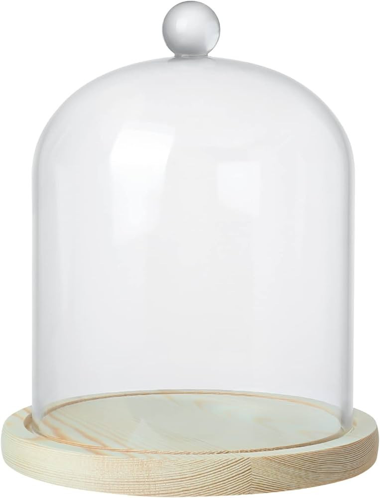 Clear Cloche Glass Dome,Glass Cloche to Cover Plants and Decorations,Display Dome Cloche for Dess... | Amazon (US)