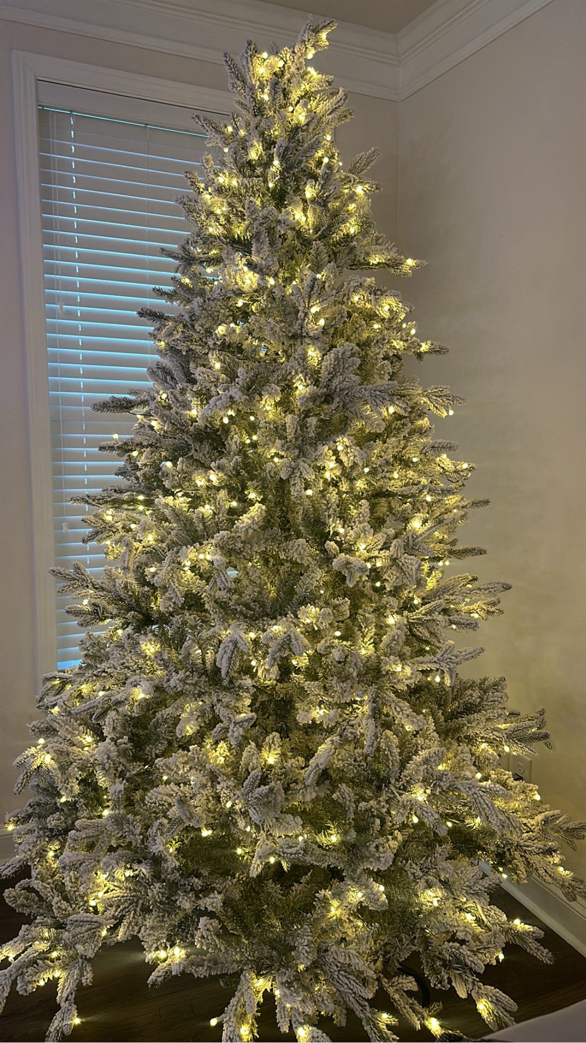 My beautiful flocked Christmas tree ! 



Christmas tree, flocked tree, flocked Christmas tree, pre-lit Christmas tree, Christmas decor 

#LTKHome #LTKSeasonal #LTKHoliday