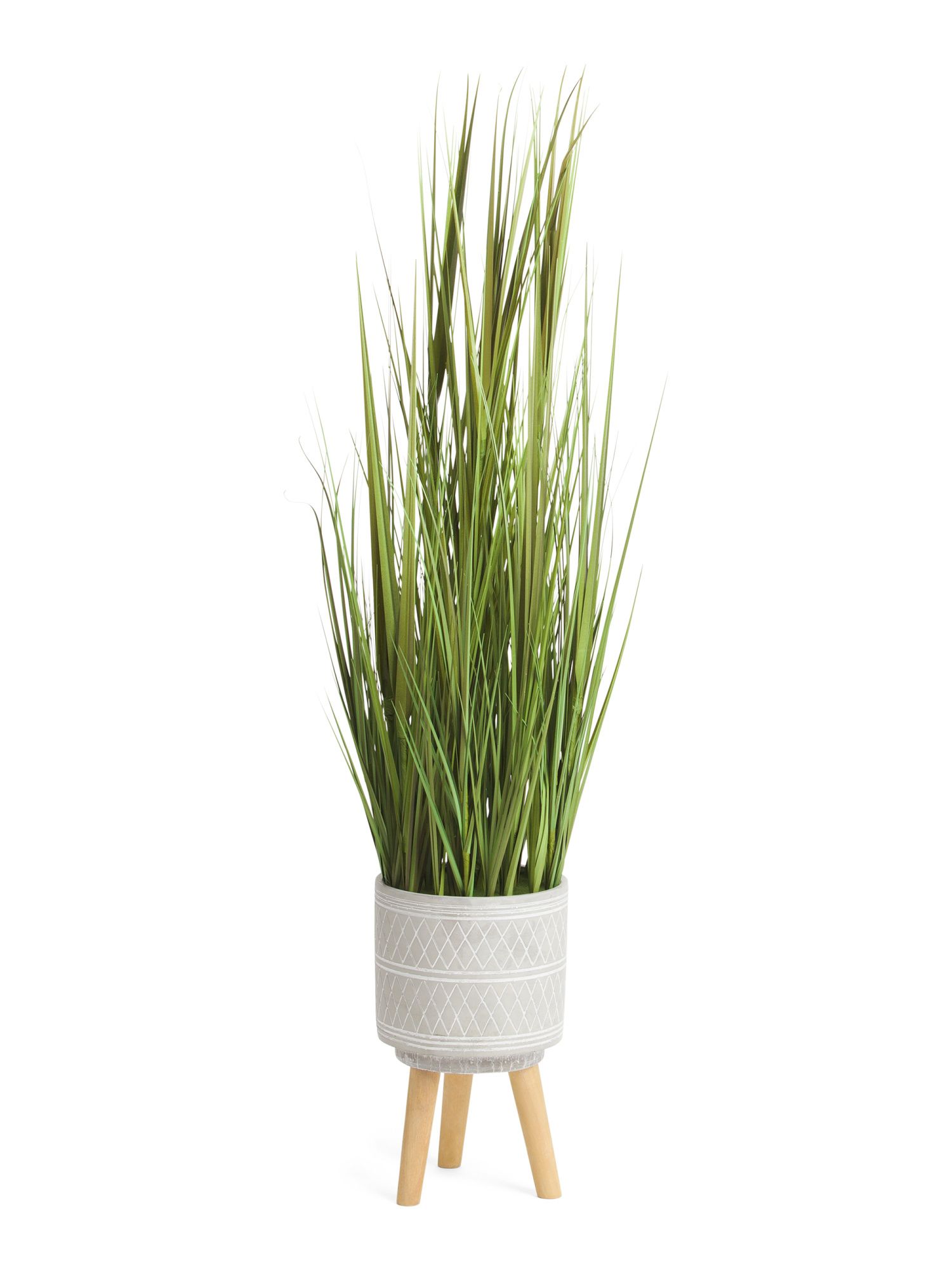 60in Onion Grass In Cement Pot With Wooden Stand | TJ Maxx