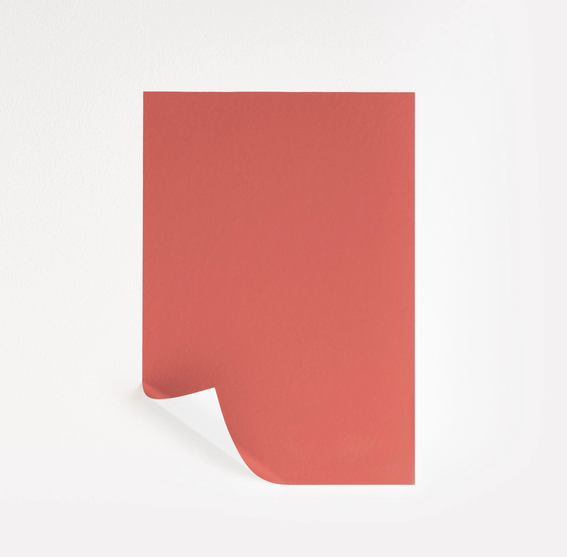 Bird of Paradise  Paint Sample | Samplize