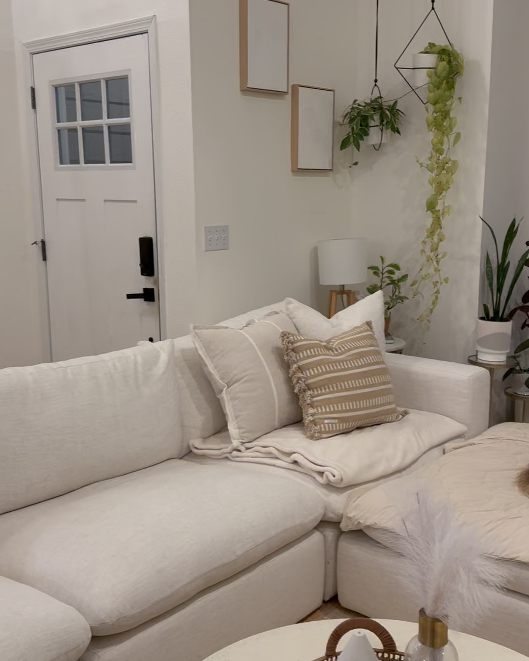 Updated our living room space! ✨

#LTKHome #LTKPets