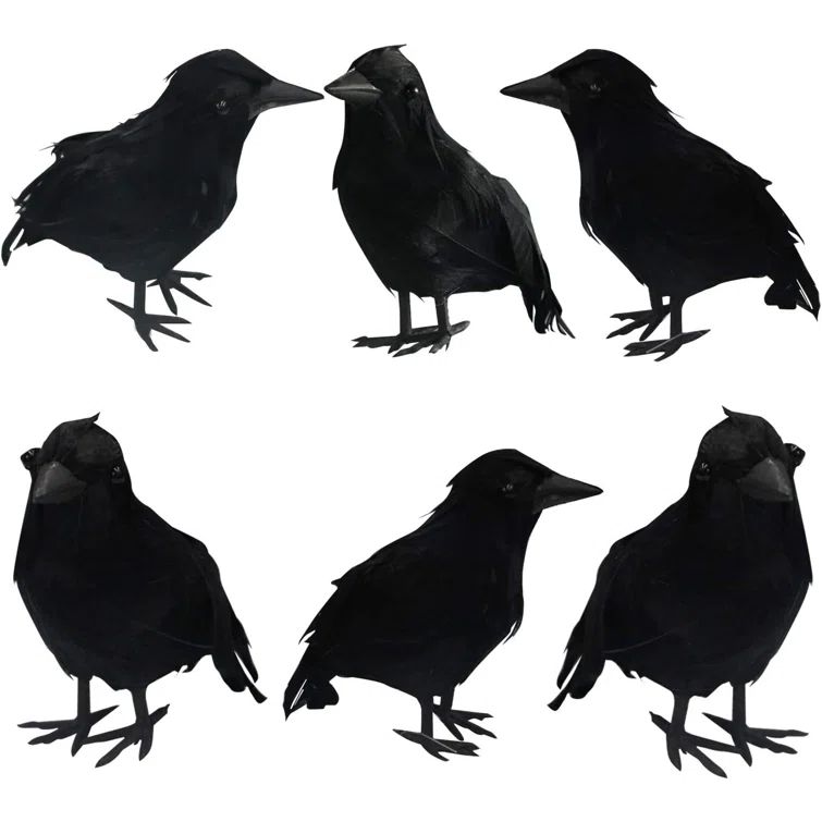 Halloween Black Crows With Real Feather | Wayfair North America