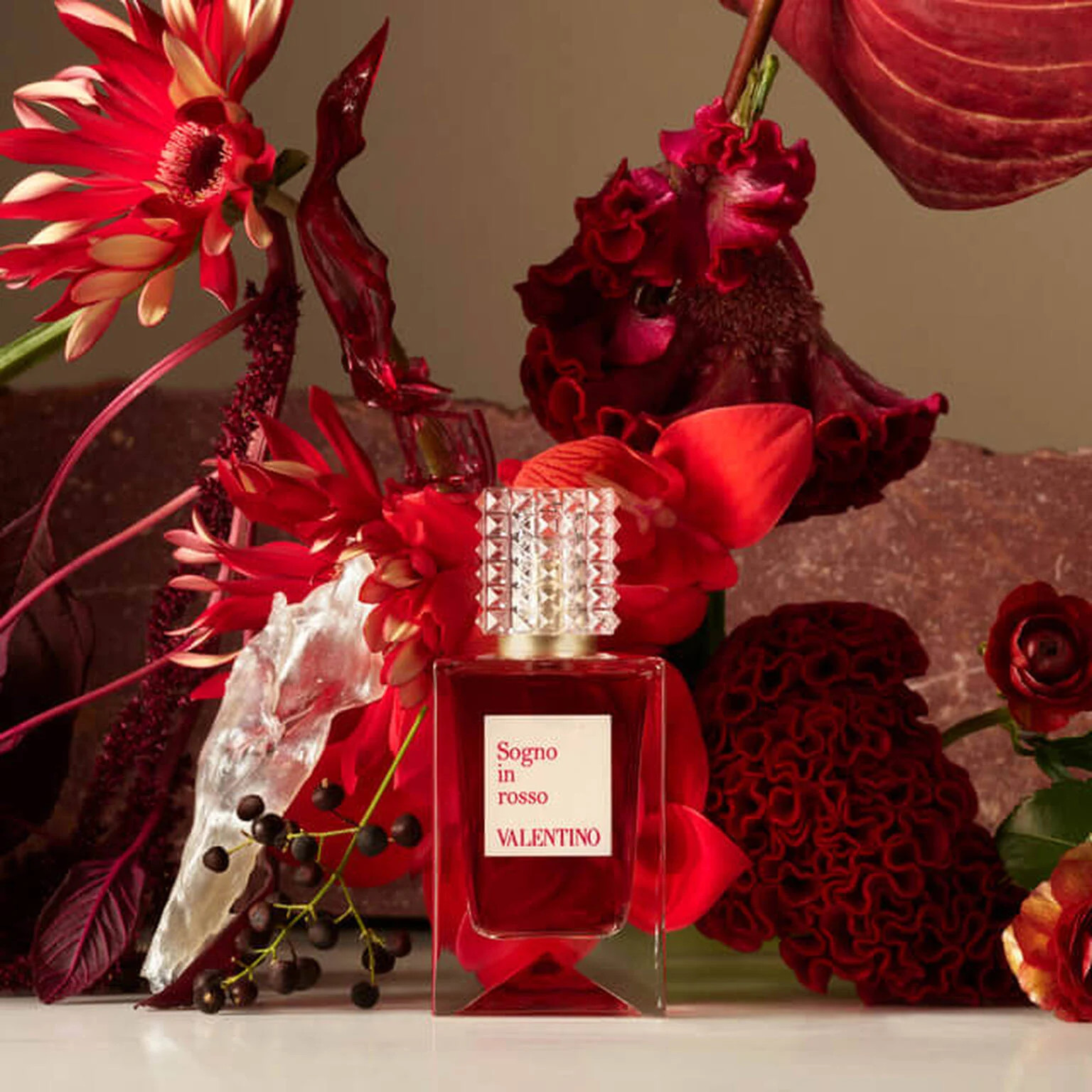Shop Anatomy of Dreams Sogno in Rosso | Valentino Beauty | Valentino Beauty